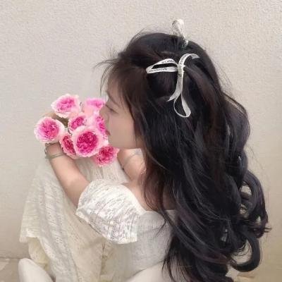 迎风伫立的狮子海报
