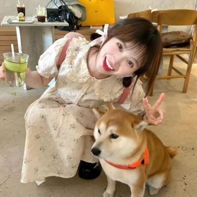 锦绣令海报